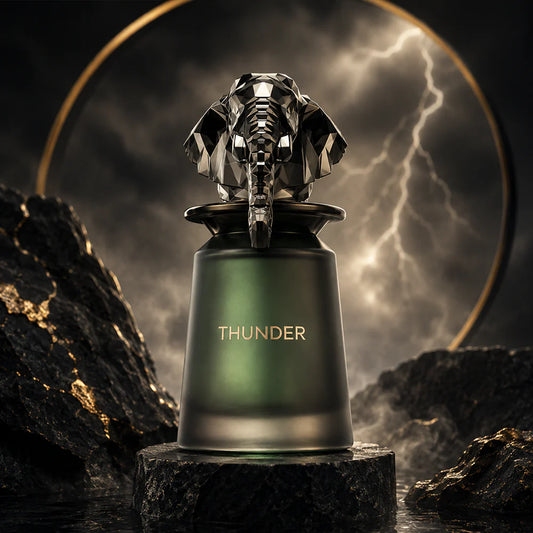 French Avenue Thunder For Men EDP 100ml