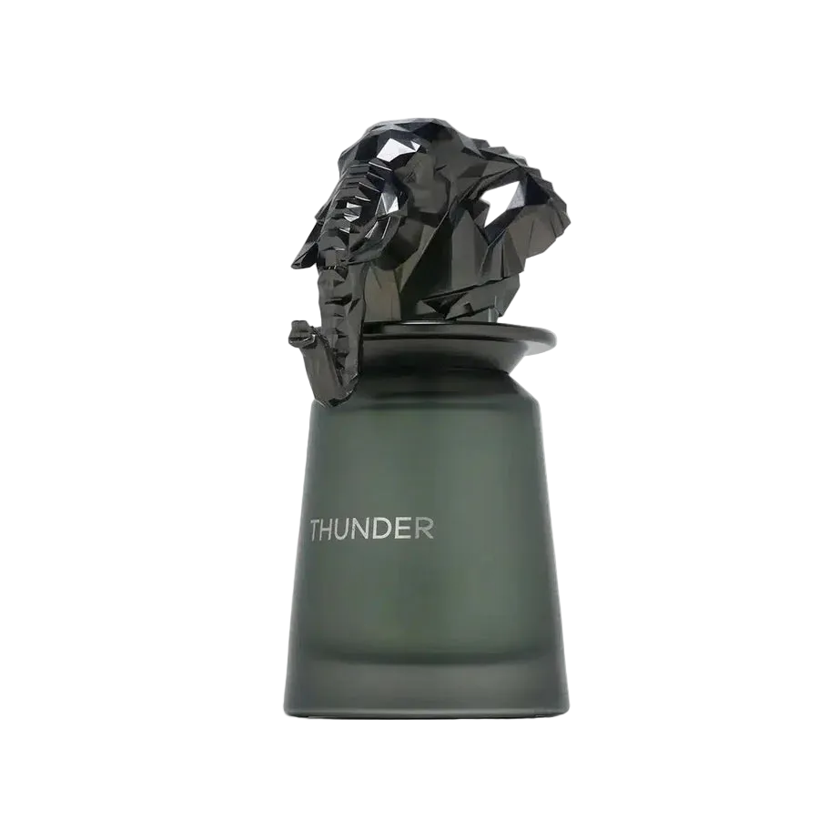 French Avenue Thunder For Men EDP 100ml