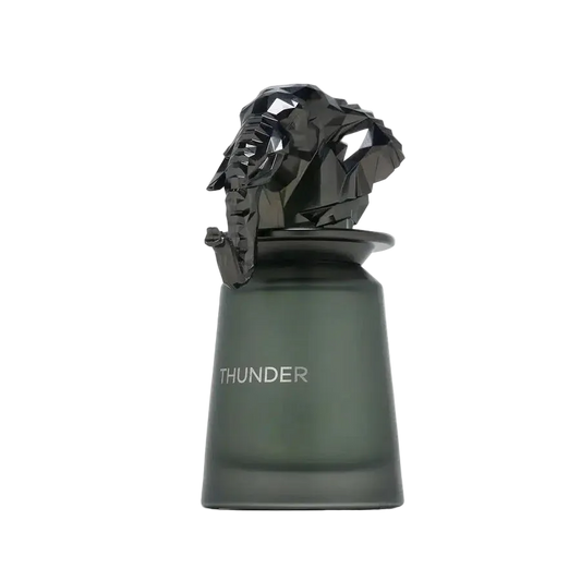 French Avenue Thunder For Men EDP 100ml